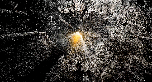 Rasa Smite, Raitis Smits. “Ecodata. Atmospheric Forest”. Screenshot from VR data visualisations (2020).